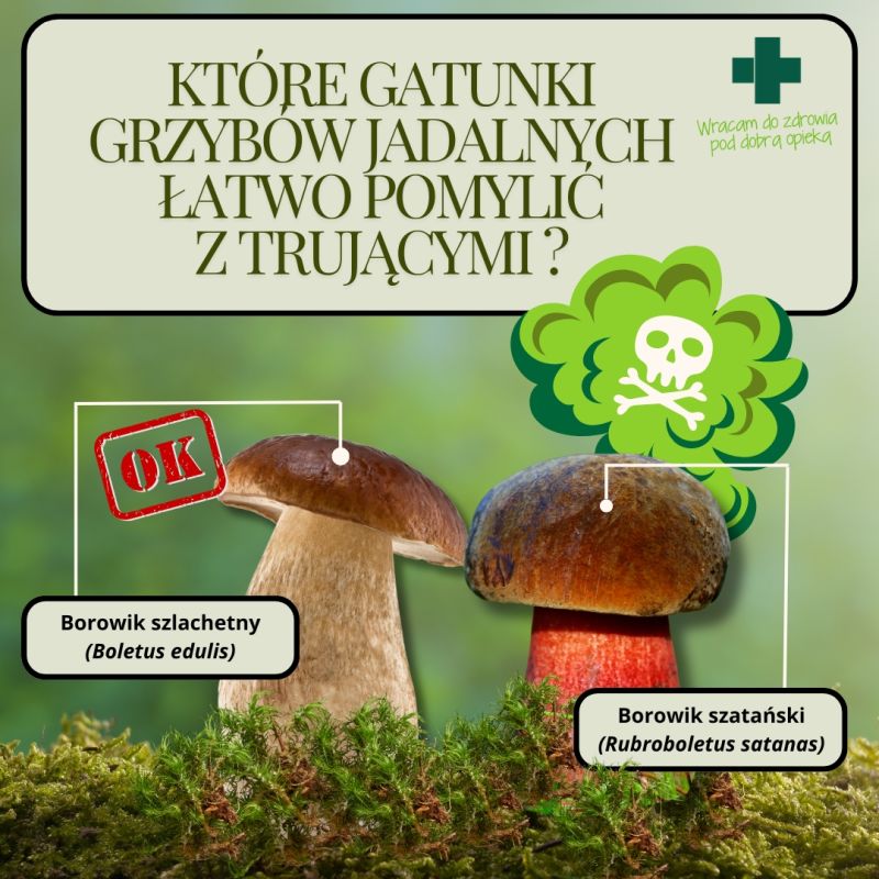 Które gatunki grzybów jadalnych łatwo pomylić z trującymi?