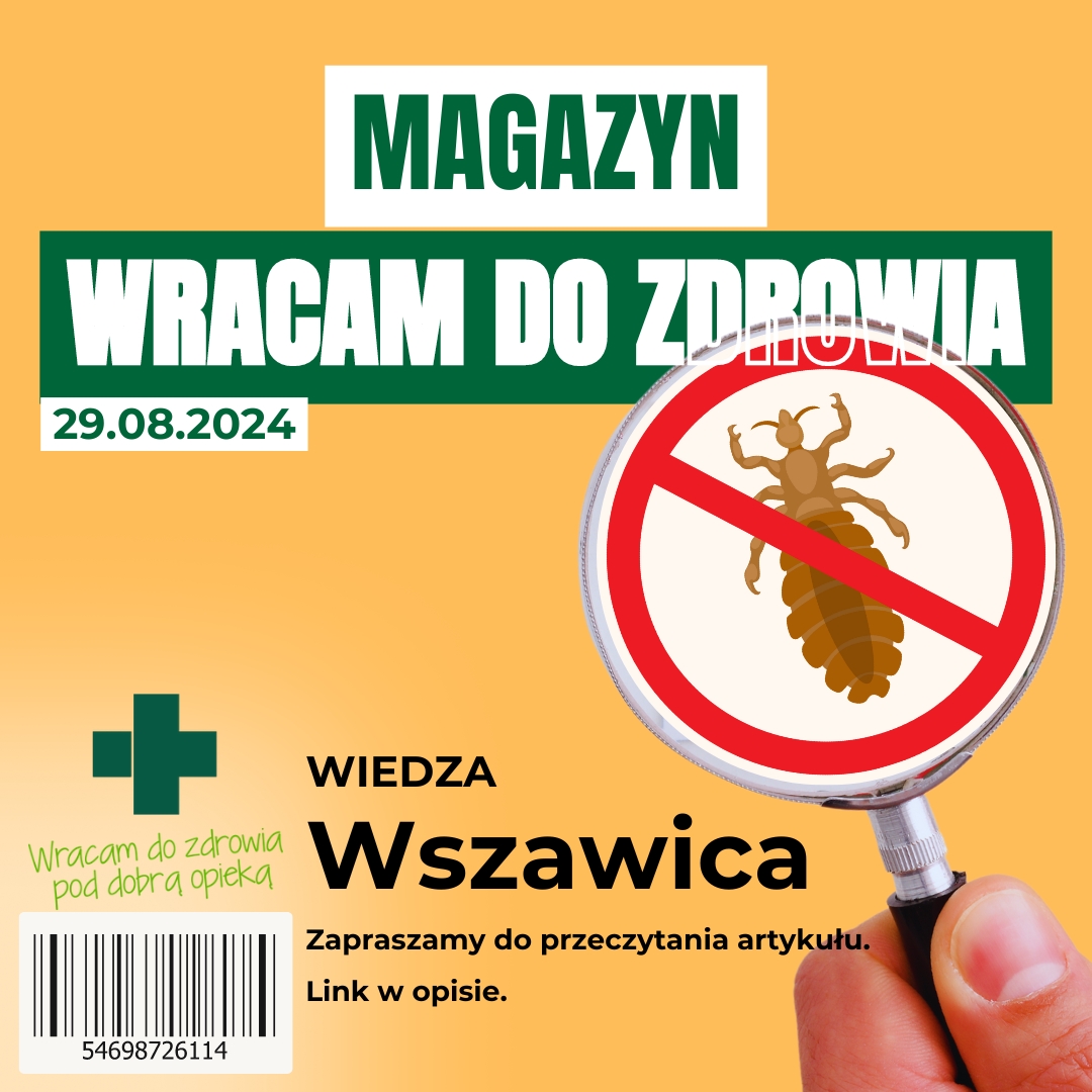 Wszawica – powszechna choroba, której nie trzeba się wstydzić