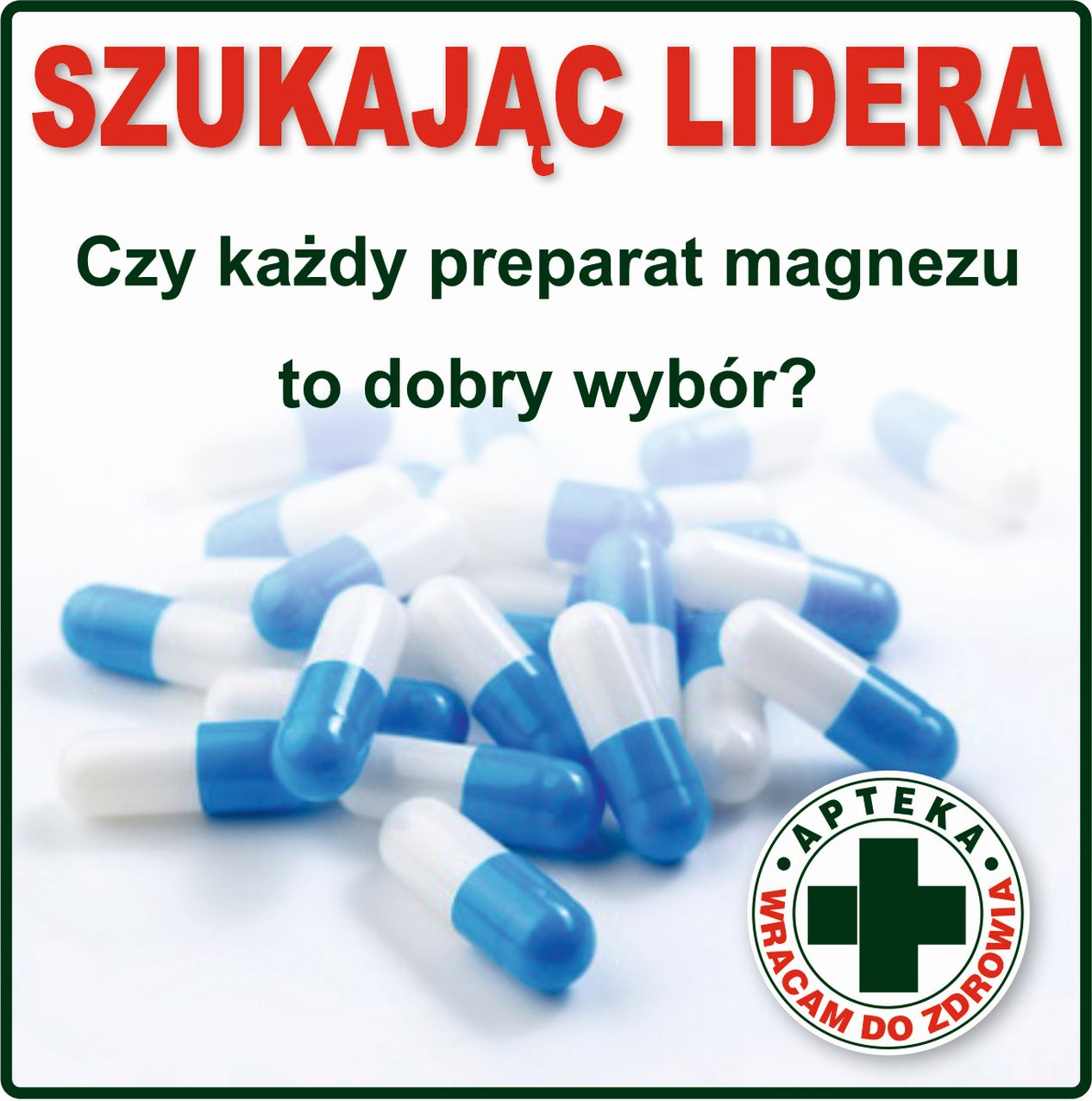 Szukając lidera - czy każdy preparat magnezu to dobry wybór?