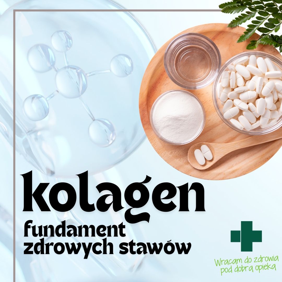 Regeneracja chrząstki stawowej